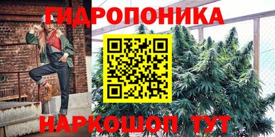 соль ск Моздок